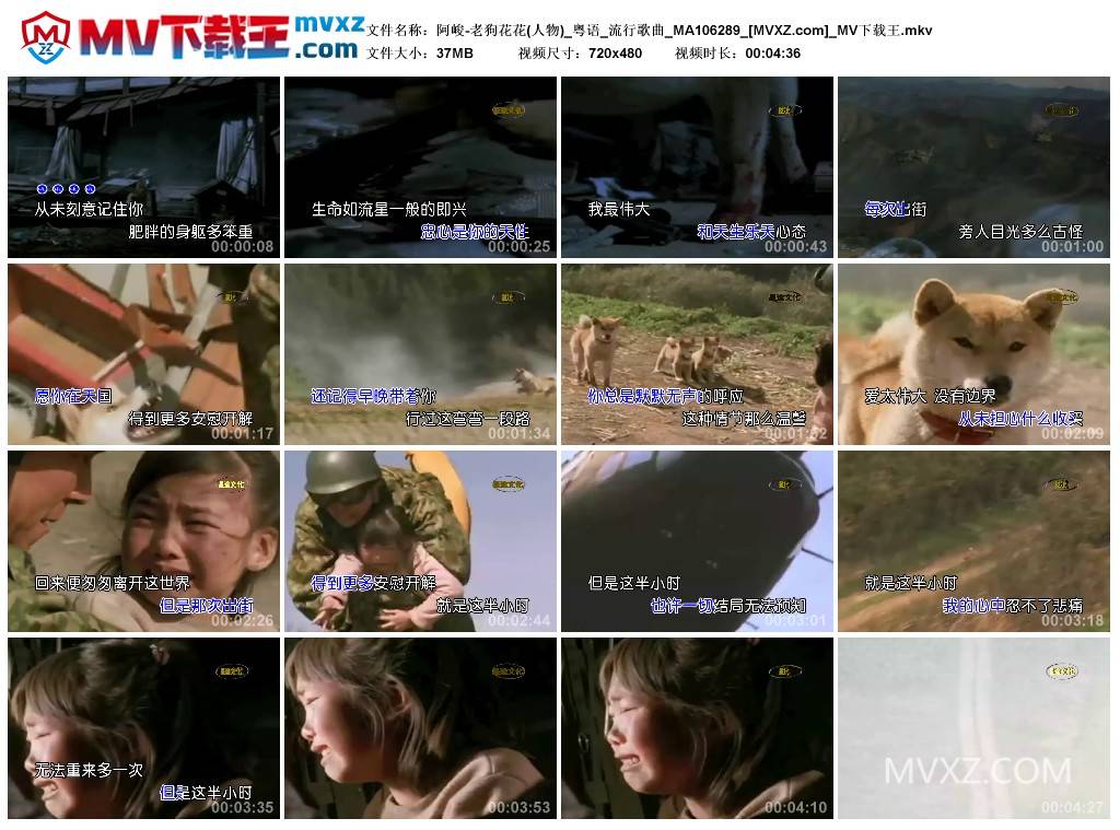 阿峻-老狗花花(人物)_粤语_流行歌曲_MA106289